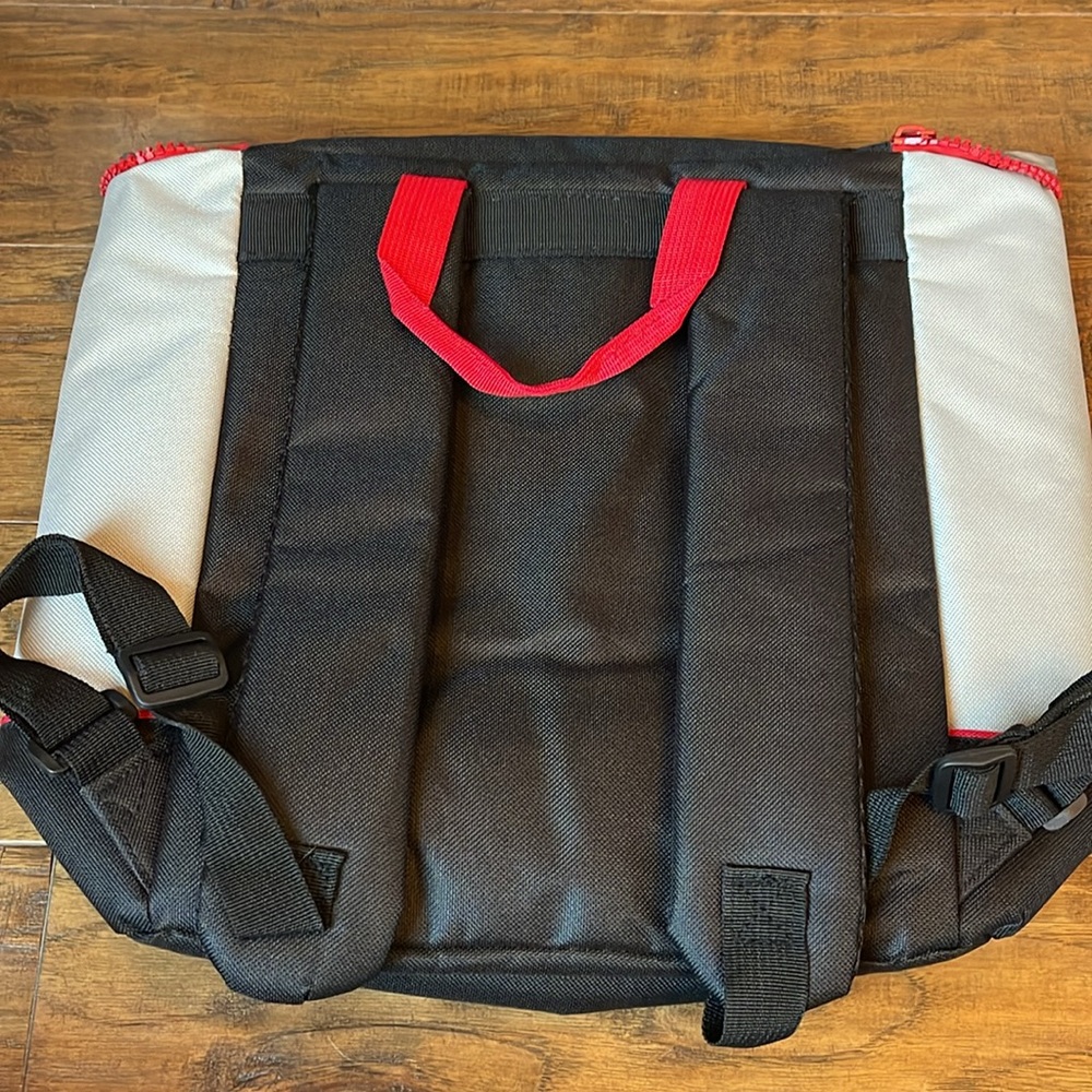 DISNEY CRUISE LINE CASTAWAY CLUB PLATINUM COOLER BACKPACK - Picture 2 of 3